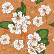 Apple flower pattern N2