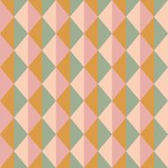 popular vintage zigzag chevron triangle pattern N9