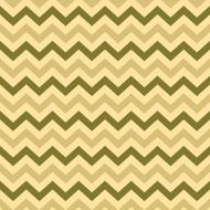 Vintage Popular Zigzag Chevron Pattern N4