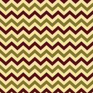 Vintage Popular Zigzag Chevron Pattern N6