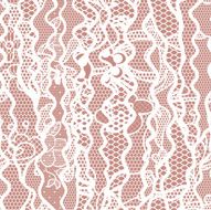 Lace seamless pattern with flowers N145