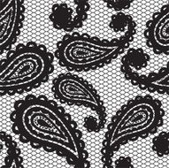 Lace seamless pattern with paisley N3