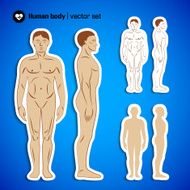 Human body infographics N3