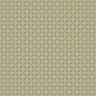 Vintage shabby background with classy patterns N633