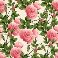 Seamless rose pattern Vector illustration