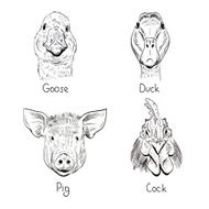 Set of hand drawn farm animals vector illustration N4