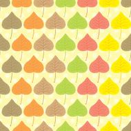 autumn leaves N29
