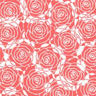 pink rose background