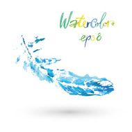 beautiful delicate feather painted in watercolor N14