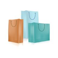 Empty Shopping Bag for advertising and branding N4
