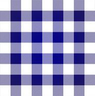 Lumberjack plaid pattern vector illustration