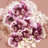 Grunge vector background with orchid flowers