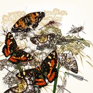 Floral background with butterflies