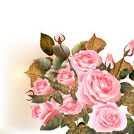 Beautiful vector roses painted in watercolor vintage style