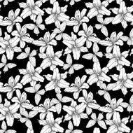 black and white seamless background with lilies butterflies