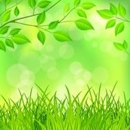 Spring background N14