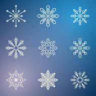 Snowflakes N17