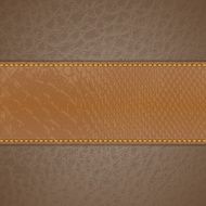 Leather background N9