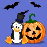 Halloween N206