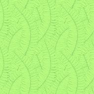 seamless background with fern leaves