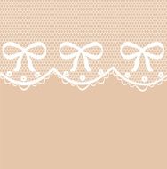 Beautiful delicate lace pattern vector illustration N4