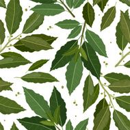 seamless texture of bay leaf N2