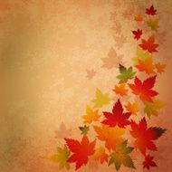 Abstract autumn vintage background N2