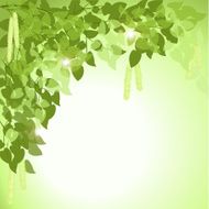 green background N12