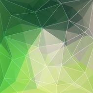 Abstract colorful background of triangles N20
