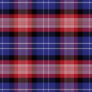 vector seamless pattern Scottish tartan N13