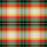 vector seamless pattern Scottish tartan N16
