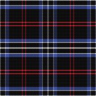 vector seamless pattern Scottish tartan N17