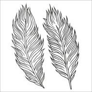 Vintage Feather vector set