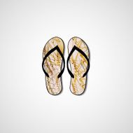 Abstract illustration on flip flops N165