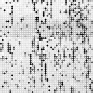 abstract gray polka dots pattern background N2
