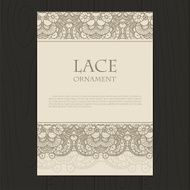 Vector lace ornament background N24