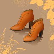 autumn shoes N2