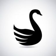 swan design N2