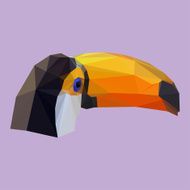 polygonal abstract geometric toucan background