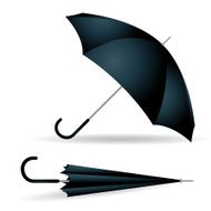 Umbrella N49