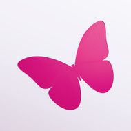 butterfly N45