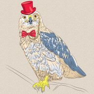vector hipster bird Rough-legged Buzzard