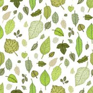 Leaves Seamless vector background N16
