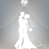 groom and bride N5