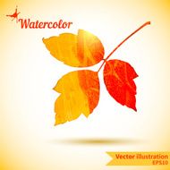 Autumn composition with yellow and red leaves N5