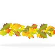 Autumn abstract background with leaf N20