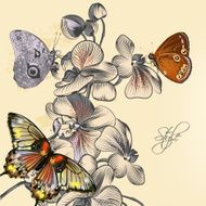 Fashion pattern with butterflies and orchids