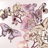 Fashion pattern with butterflies and orchids N2