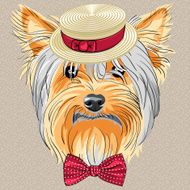 vector funny cartoon hipster dog Yorkshire Terrier
