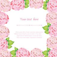 Elegant pink roses N9
